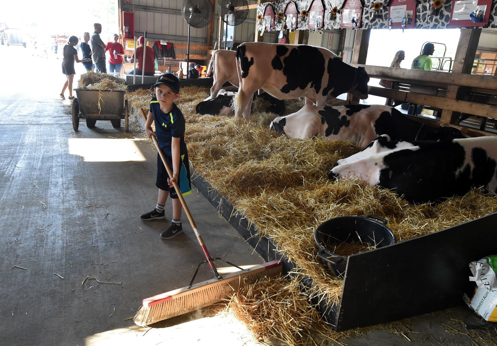 Racine County Fair 2019